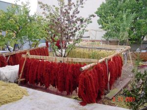 染めた糸を乾かす